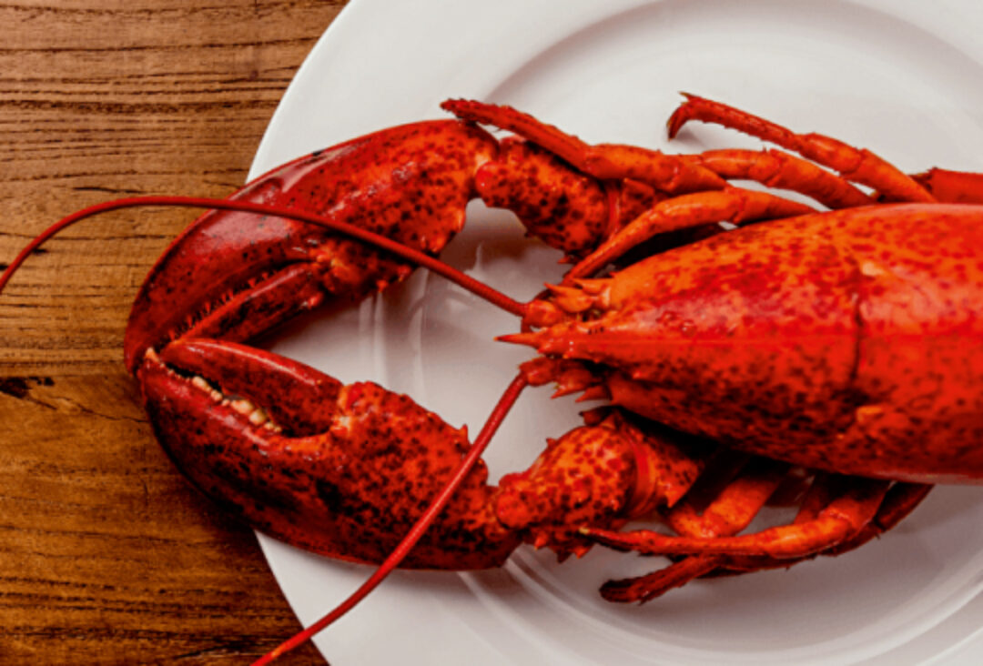 Lobster Friday | Kreeft | Evenement | Seizoen | Diner