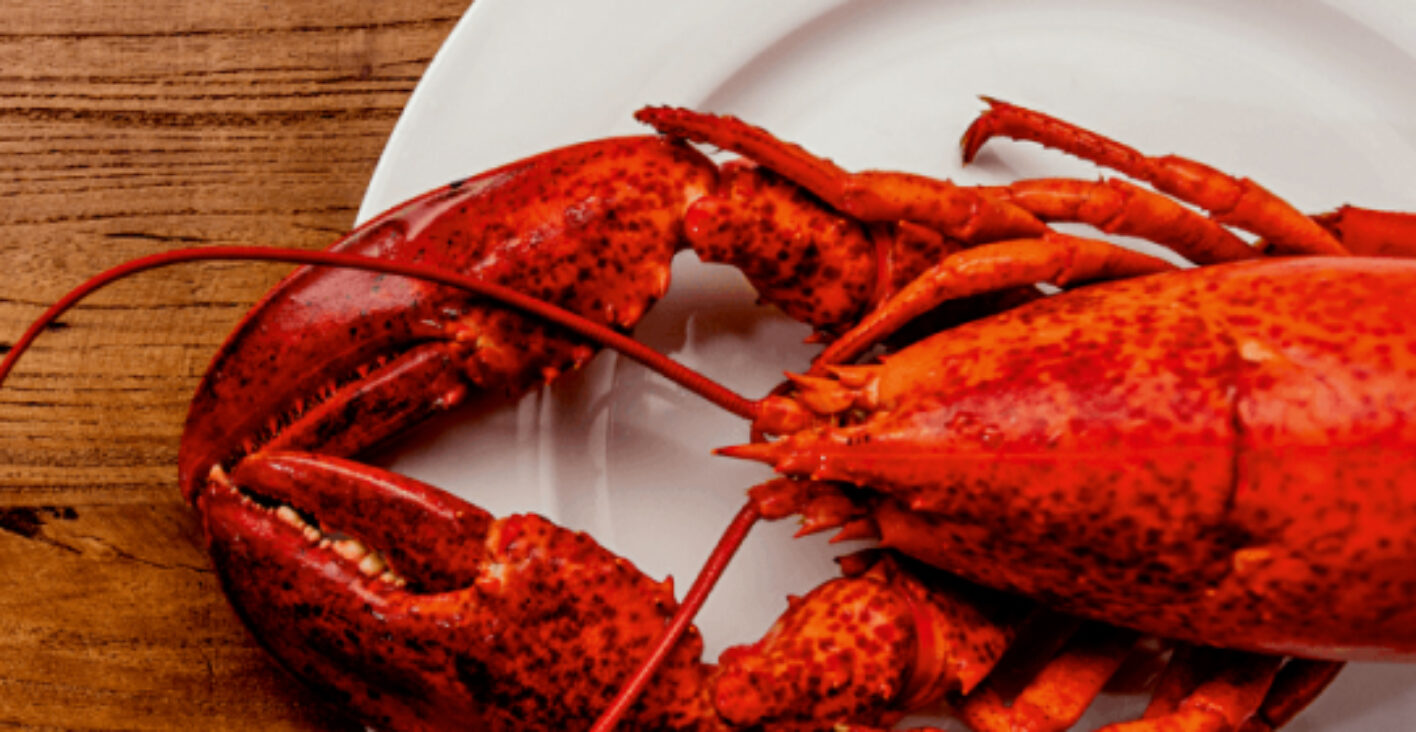 Lobster Friday | Kreeft | Evenement | Seizoen | Diner