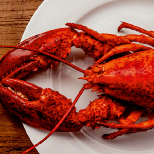 Lobster Friday | Kreeft | Evenement | Seizoen | Diner