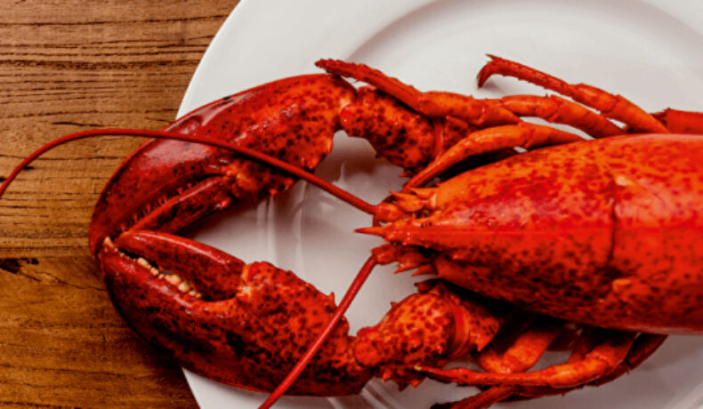 Lobster Friday | Kreeft | Evenement | Seizoen | Diner